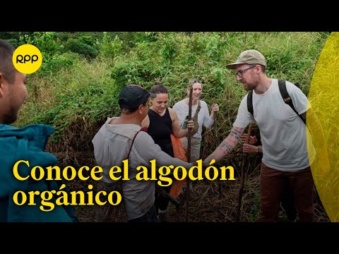 'Algodón de Vida': Iniciativa ganadora de Textil del Valle
