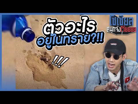 เจอตัวอะไรไม่รู้ในทราย!อย่างพี เจอตัวอะไรไม่รู้ในทราย!อย่างพี