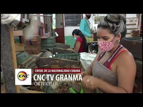 Reconocen en Manzanillo a tabacaleros destacados