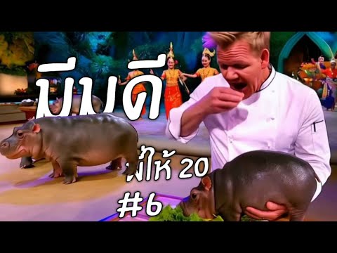 หมูเด้งงงง!!!|มีมดีพี่ให้20