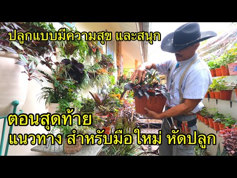 แนะแนวทาง-การปลูกต้นไม้ดอกไม้- แนะแนวทาง-การปลูกต้นไม้ดอกไม้-