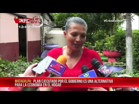 Patios saludables, una alternativa para los hogares en Matagalpa - Nicaragua