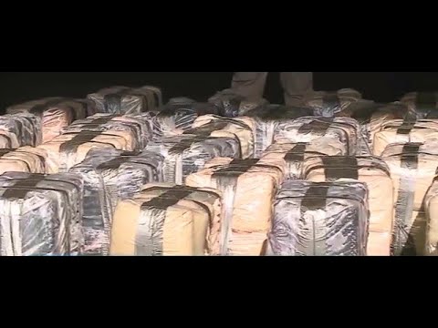 Policía da fuerte golpe al narcotráfico decomisando 1300 kilos de marihuana