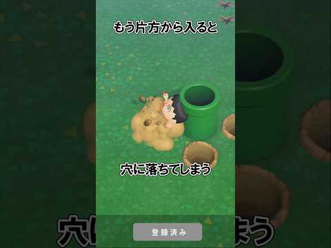 どかんの罠@ほのげ