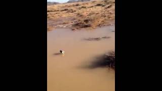 فيديو:شدة البرد تجمد مستنقع!!