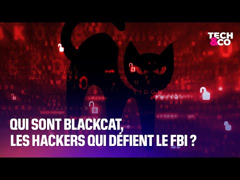 États-Unis : qui sont BlackCat, les hackers qui défient le FBI?