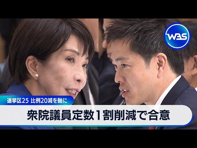 Image of LDP and Ishin Agree on 10 Percent Cut to Lower House Seats