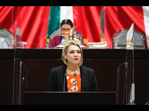 dip. Lourdes Sánchez (PRI) / Día Internacional de la Eliminación de la Violencia contra la Mujer