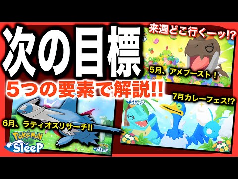 【3ヶ月先まで】来週どこ行く？きのみウィーク2の準備と、今後のイベントスケジュール！【ポケモンスリープ】【どっさり！きのみウィークvol.2】