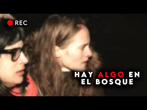 COLD GROUND | Terror en las Montañas de Francia | RESUMEN y EXPLICACIÓN