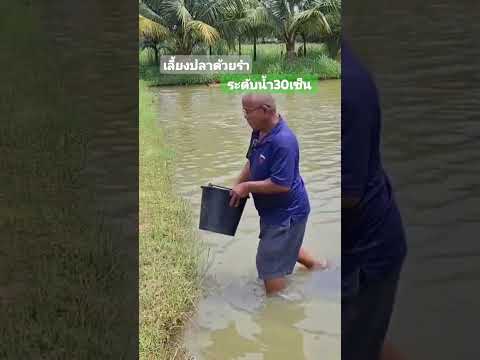 เลี้ยงปลาต้นทุนต่ำระดับน้ำ30เซ