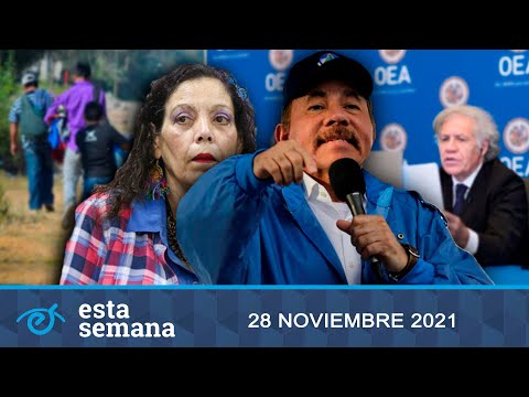 Manuel Orozco: El plazo de la OEA es el 10 de enero; Aumenta la migración nica en 2021