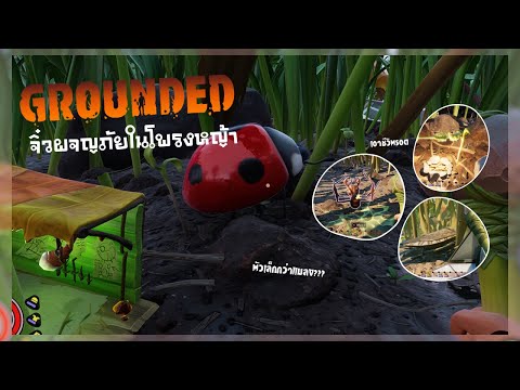 จิ๋วผจญภัยในโพรงหญ้า|Grounde