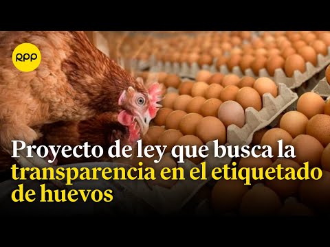 Presentan proyecto de ley que busca la transparencia en el etiquetado de huevos
