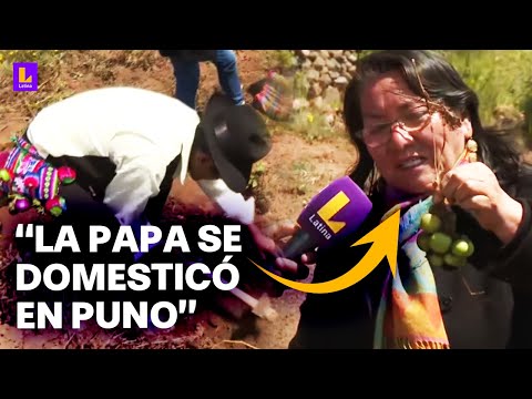 Documental 'Nuestra papa': Desde las chacras de la Isla Amantaní en Puno