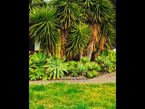 PHIL COLLINS ANOTHER DAY IN PARADISE