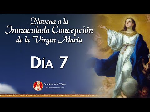 Novena a la Inmaculada Concepción de la Virgen  Día 7  | Padre Mauricio Galarza #novena