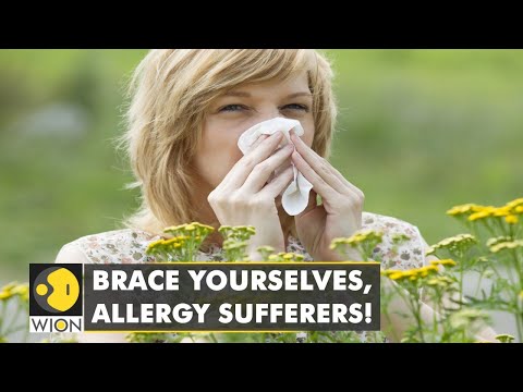 🌎Study: Pollen season to get longer and more intense due to climate change | WION Climate Tracker