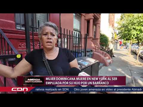 Mujer dominicana muere en New York al ser empujada por su hijo por un barranco