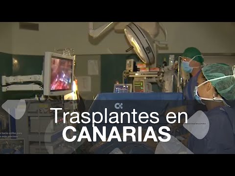 Los hospitales canarios realizaron 82 trasplantes de órganos en los primeros cinco primeros meses