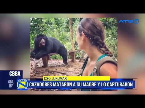 El oso Balú, rescatado hace 17 años, murió tras molestias físicas y falta de apetito