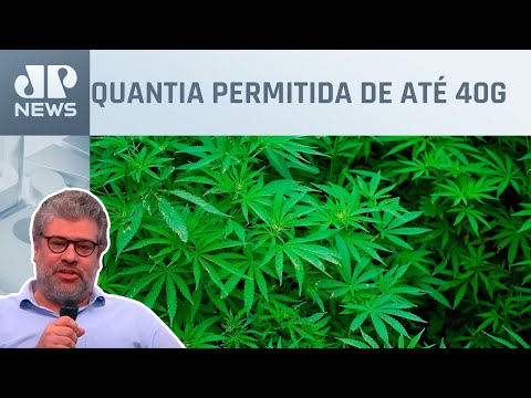 Descriminalização do porte de maconha começa a valer; Felippe Monteiro comenta