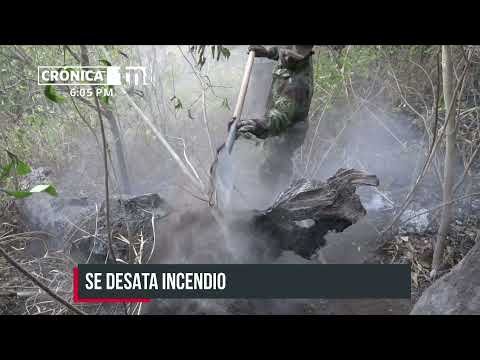 Bomberos sofocan incendio forestal en el cerro Mostastepe - Nicaragua