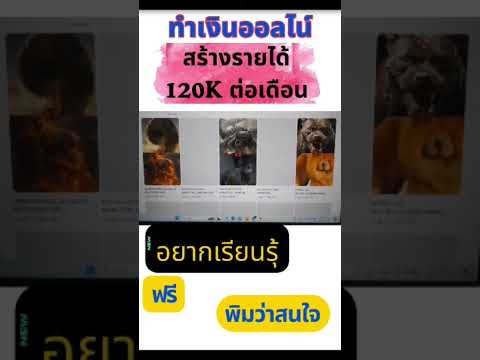 สร้างรายได้ออนไลน์ด้วยAiในY