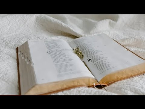 ? LECTURA ESPIRITUAL DEL OFICIO DIVINO PARA HOY MARTES 25 DE JUNIO 2024