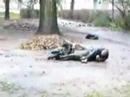 Video: Draugą nelaimėje pažinsi - 