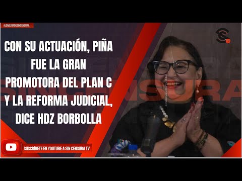 CON SU ACTUACIÓN, PIÑA FUE LA GRAN PROMOTORA DEL PLAN C Y LA REFORMA JUDICIAL, DICE HDZ BORBOLLA