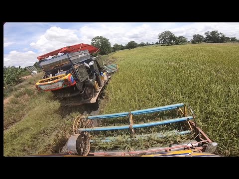 กดตูดน้านันดันหนีใหญ่เลย-น้ำคล กดตูดน้านันดันหนีใหญ่เลย-น้ำคล