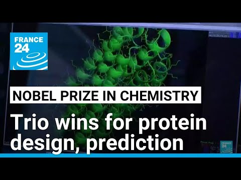 Trio wins chemistry Nobel for protein design, prediction • FRANCE 24 English