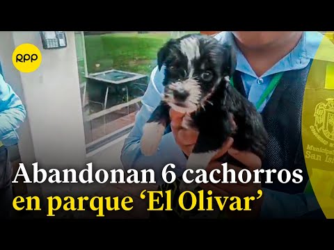 Abandonan a cachorros en el parque 'El Olivar' en San Isidro
