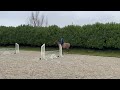 Springpaard Super fijne talentvolle merrie, uit interessante merrielijn