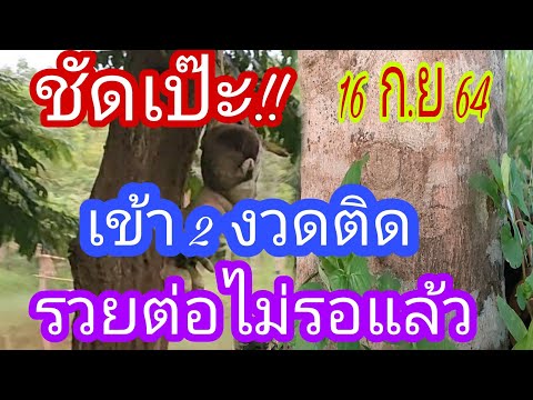 เฮง-2-งวดติด-น้องกุมารให้โชคแล เฮง-2-งวดติด-น้องกุมารให้โชคแล