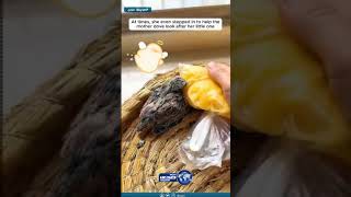 ألطف مقطع ستراه