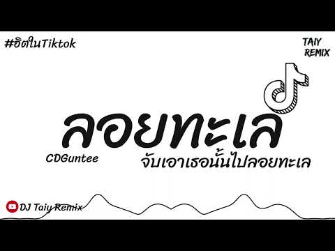 เพลงแดนซ์ฮิตในtiktok(ลอยทะเ