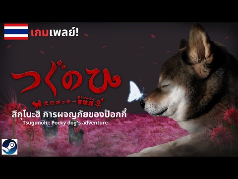 Tsugunohi:Pockydog’sadventu