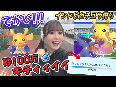 【クルタピカチュウ】インドのピカチュウ２種の色違いを狙え!!!!TL最速組に俺はなる!!!!!【サリーピカチュウ】
