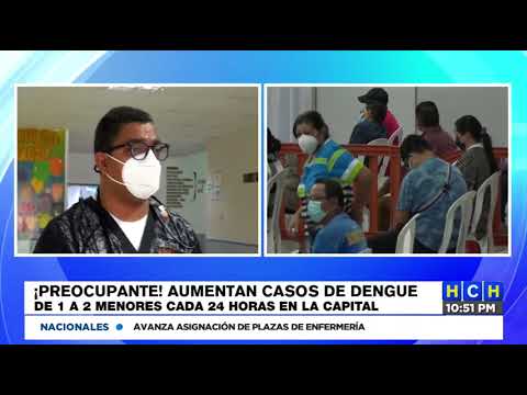 Bajan los casos de Covid19, pero se disparan los casos de Dengue en la capital
