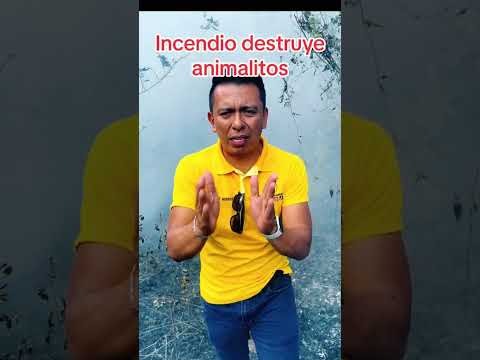 Incendio destruye animalitos en los bosques de Honduras - Ediciones Mendoza