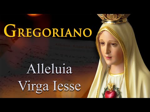 Alleluia Virga Iesse  - Gregoriano  | #Chant