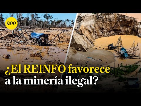 Minería ilegal: ¿Qué es y para qué se creó el REINFO y por qué causa controversia?