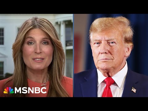 Nicolle Wallace: ‘Donald Trump will give authoritarianism a try if re-elected’ 