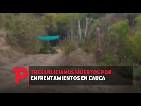 Tres milicianos muertos por enfrentamientos en Cauca I20.09.2023I TPNoticias