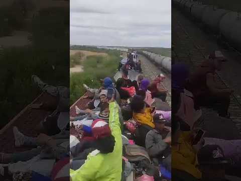 Migrantes En México: ¡NADIE PUEDE DETENERLOS! MIGRANTES varados LOGRAN subirse al tren en Zacatecas