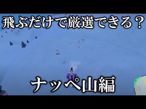 【検証】Switch2ならナッペ山で飛ぶだけで簡単に色違いゲットできんじゃね？