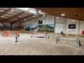 Show jumping horse VERKOCHT Leroy BH - een enthousiast en werkwillig talent!