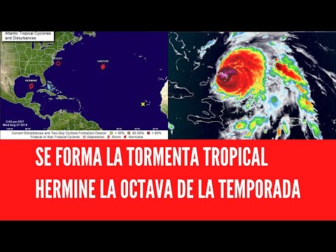 SE FORMA LA TORMENTA TROPICAL HERMINE LA OCTAVA DE LA TEMPORADA